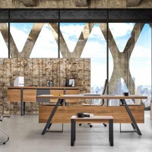 Mobilier de bureau LUMINA